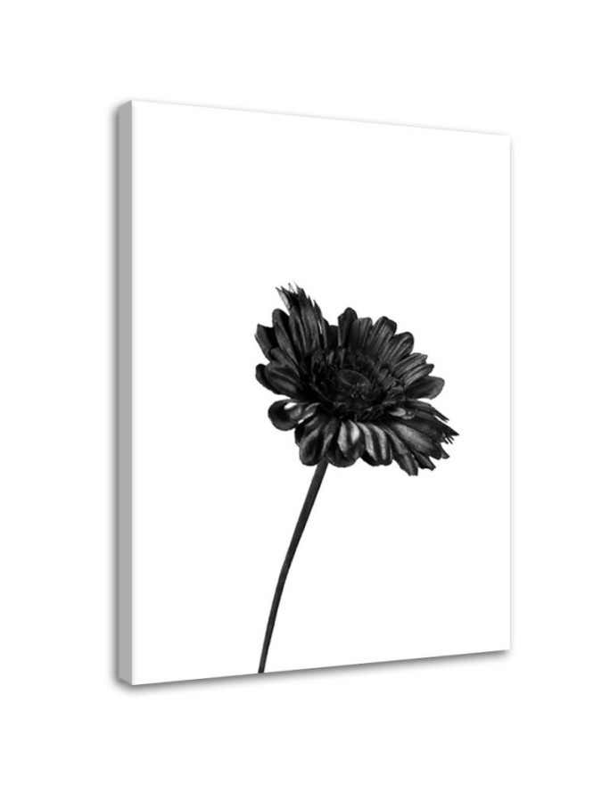 Modern canvas print Canvas prints for bedroom - Black flower | FEEBY