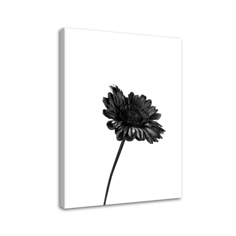 Modern canvas print Canvas prints for bedroom - Black flower | FEEBY