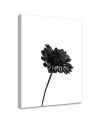 Modern canvas print Canvas prints for bedroom - Black flower | FEEBY