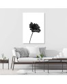 Modern canvas print Canvas prints for bedroom - Black flower | FEEBY
