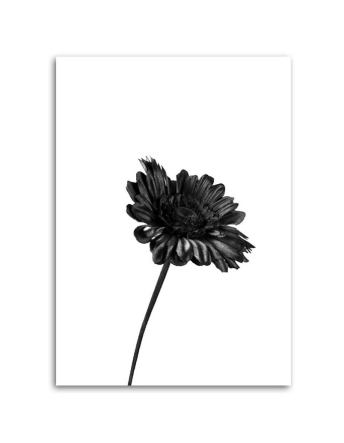 Modern canvas print Canvas prints for bedroom - Black flower | FEEBY