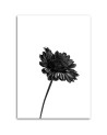 Modern canvas print Canvas prints for bedroom - Black flower | FEEBY