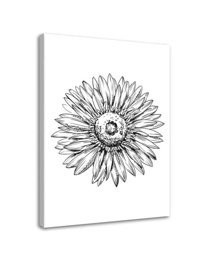 Print Canvas prints for bedroom - Flower sketch | FEEBY