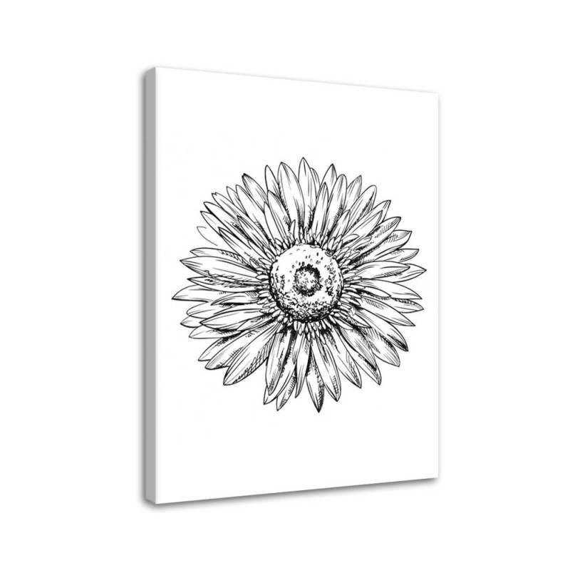 Print Canvas prints for bedroom - Flower sketch | FEEBY