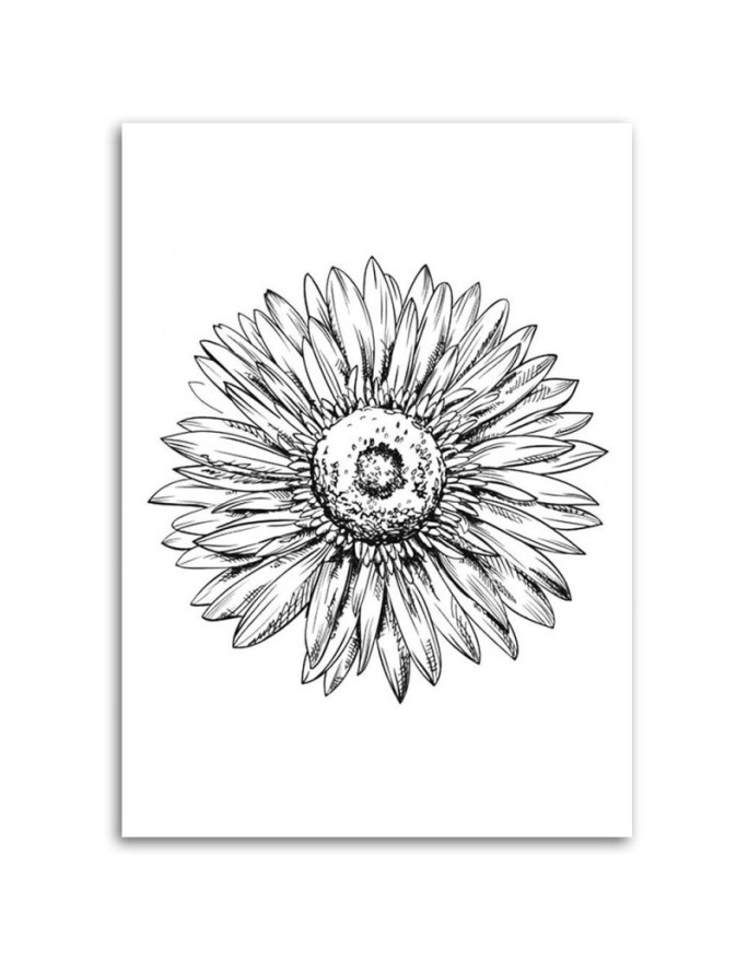 Print Canvas prints for bedroom - Flower sketch | FEEBY