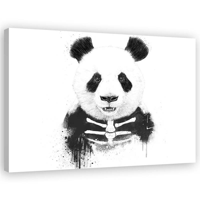 Canvas prints for teenager - Skeleton panda bear Balazs Solti | FEEBY