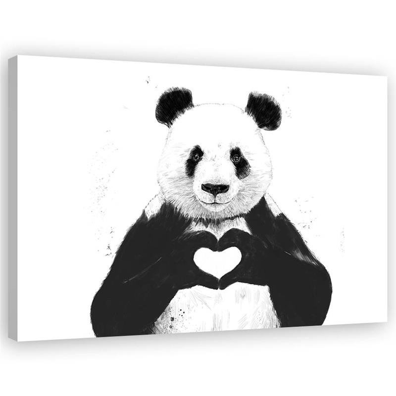 Canvas prints for teenager's room - Panda with heart Balazs Solti | FEEBY