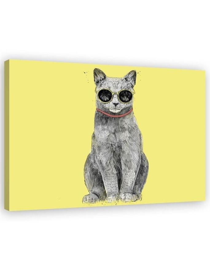 Canvas prints for teenager - Cat with glasses Balazs Solti | FEEBY
