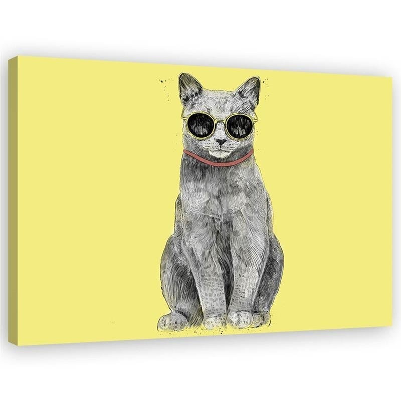 Canvas prints for teenager - Cat with glasses Balazs Solti | FEEBY
