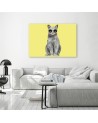Canvas prints for teenager - Cat with glasses Balazs Solti | FEEBY