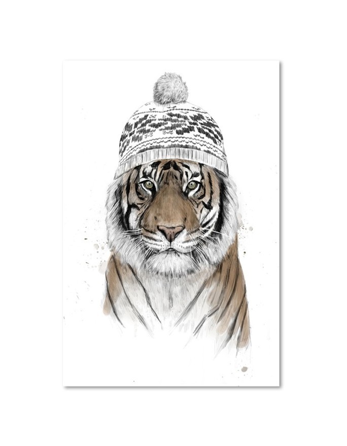 Canvas prints - Tiger in winter Christmas hat Balazs Solti | FEEBY
