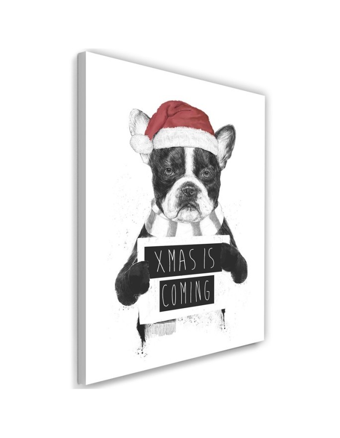 Pictures on Canvas for a teenager Christmas French bulldog Balazs Solti | FEEBY