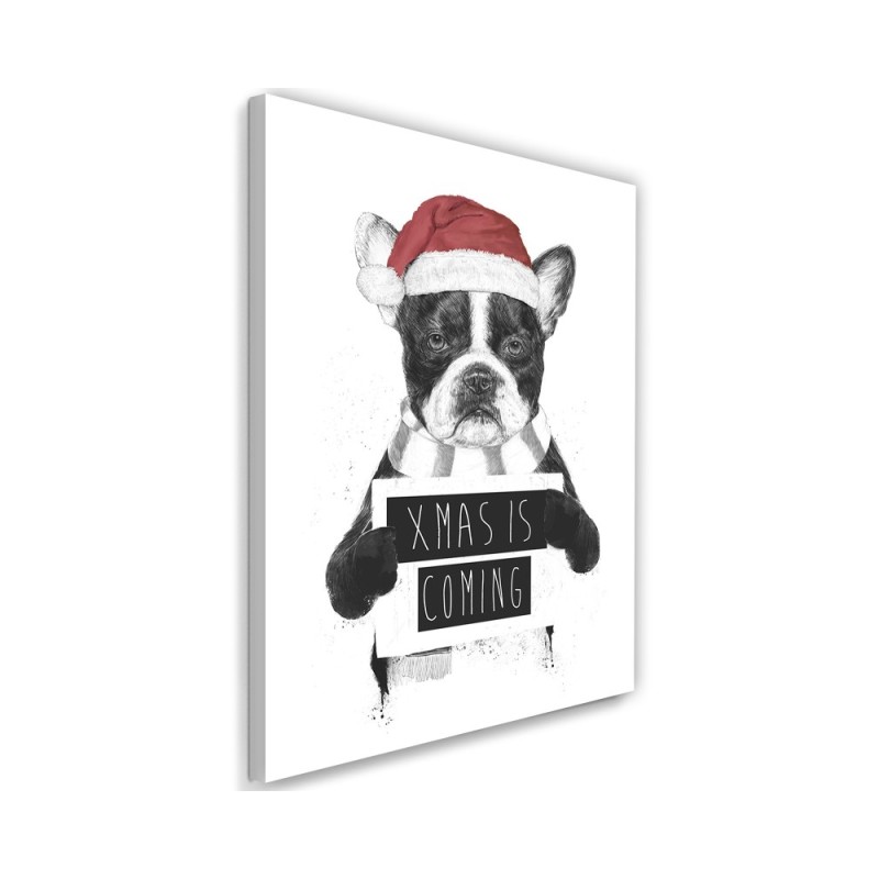 Pictures on Canvas for a teenager Christmas French bulldog Balazs Solti | FEEBY