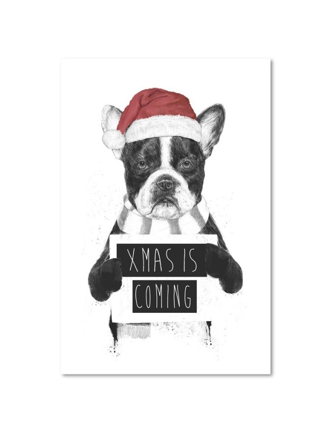 Pictures on Canvas for a teenager Christmas French bulldog Balazs Solti | FEEBY