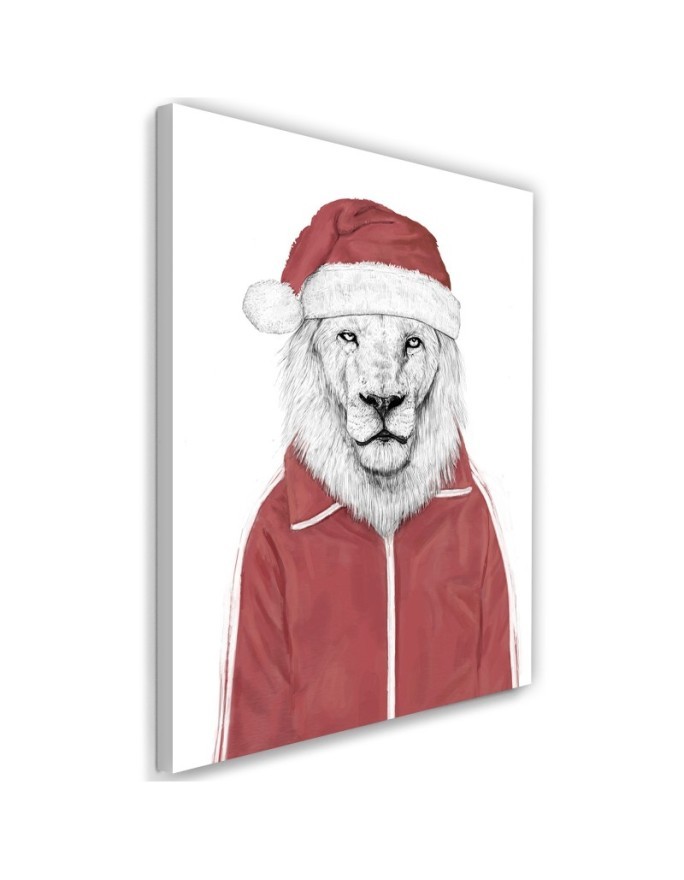 Canvas prints - Lion in red Christmas hat Balazs Solti | FEEBY