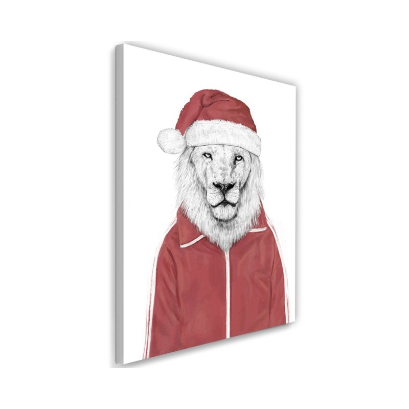 Canvas prints - Lion in red Christmas hat Balazs Solti | FEEBY