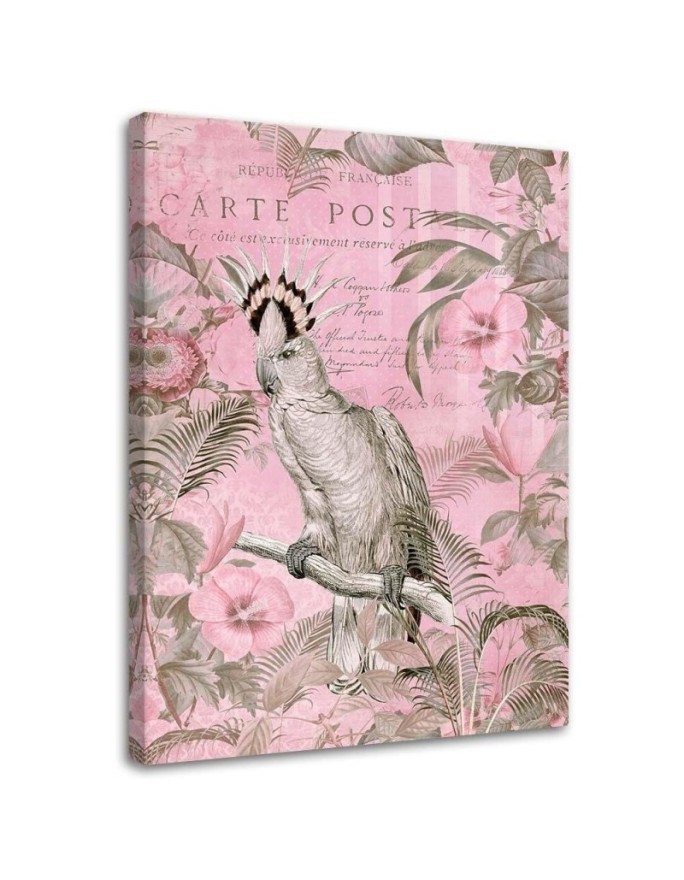 Canvas painting - Pink cockatoo bird Andrea Haase | FEEBY
