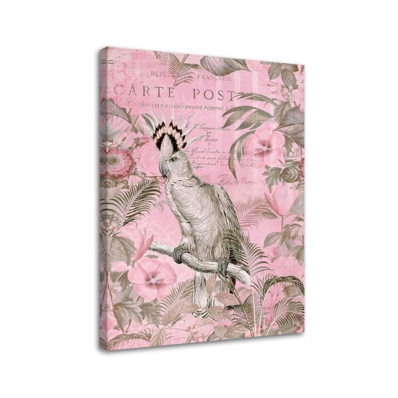 Canvas painting - Pink cockatoo bird Andrea Haase | FEEBY