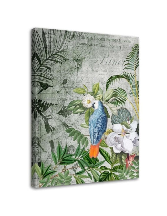 Canvas prints for modern living room - Kingdom of birds Andrea Haase | FEEBY