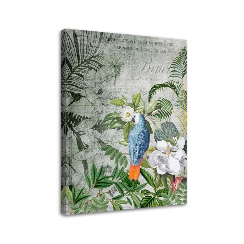 Canvas prints for modern living room - Kingdom of birds Andrea Haase | FEEBY