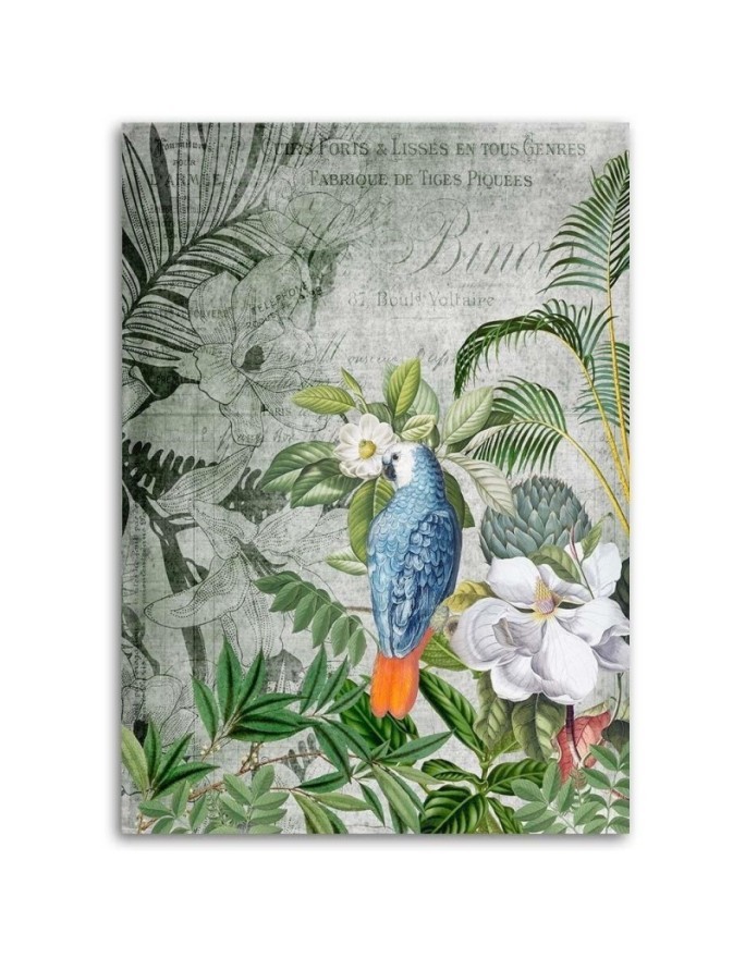 Canvas prints for modern living room - Kingdom of birds Andrea Haase | FEEBY