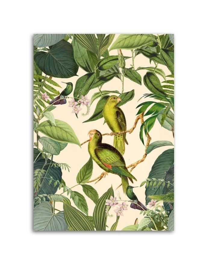 Canvas prints for bedroom printTropical birds in the jungle Andrea Haase | FEEBY