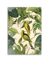 Canvas prints for bedroom printTropical birds in the jungle Andrea Haase | FEEBY