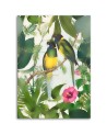 Canvas Paintings for the living room modern - Birds in the jungle Andrea Haase | FEEBY