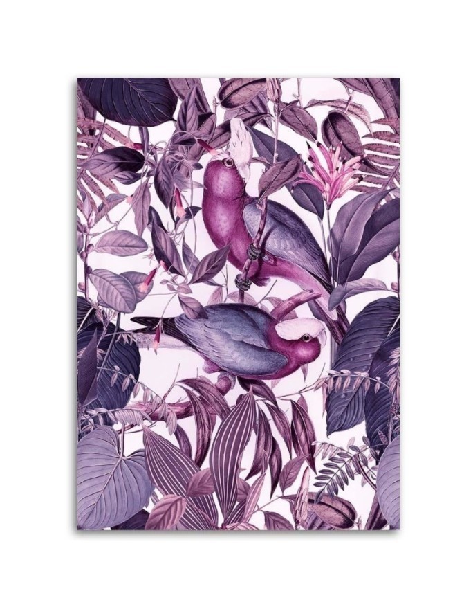 Fashionable Canvas paintings for the living room - Tropical birds 4 Andrea Haase | FEEBY