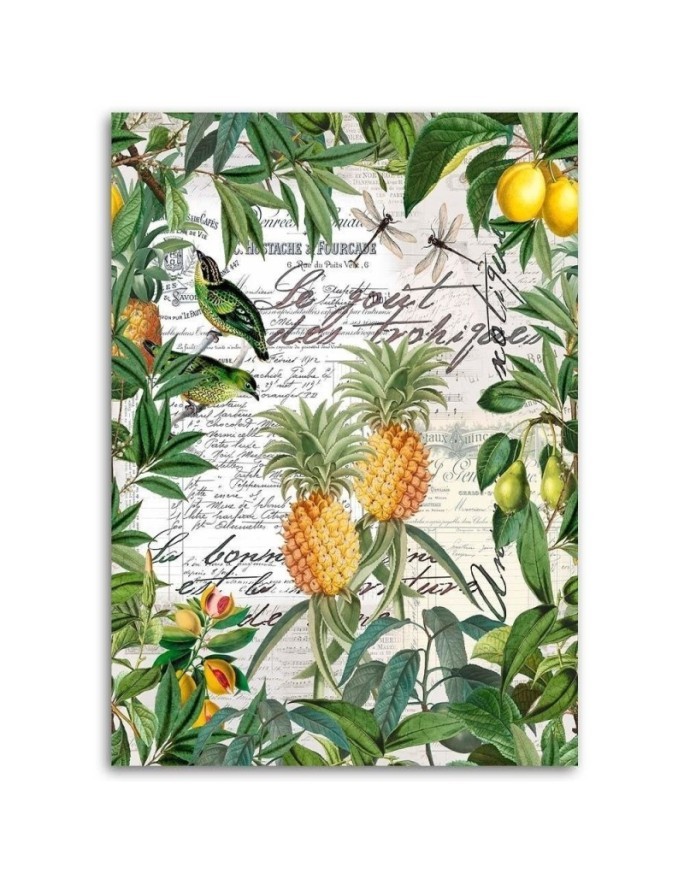 Canvas painting - Tropical fruits and calligraphy by Andrea Haase | FEEBY