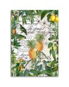 Canvas painting - Tropical fruits and calligraphy by Andrea Haase | FEEBY