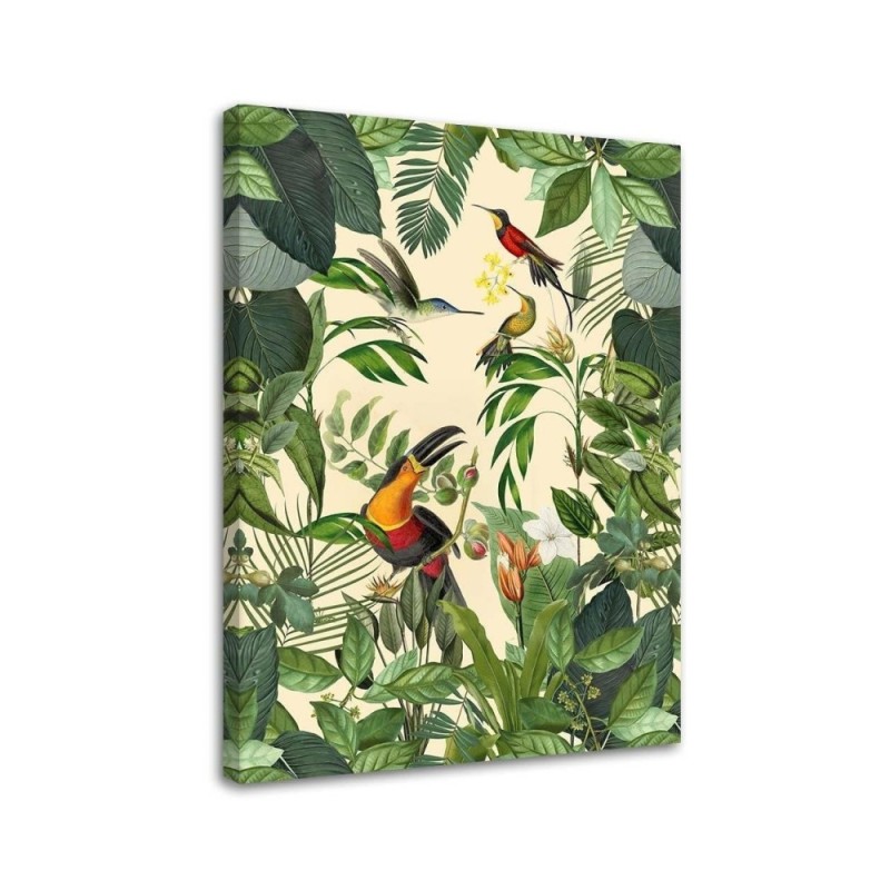 Canvas prints for modern living room - Tropical toucan Andrea Haase | FEEBY
