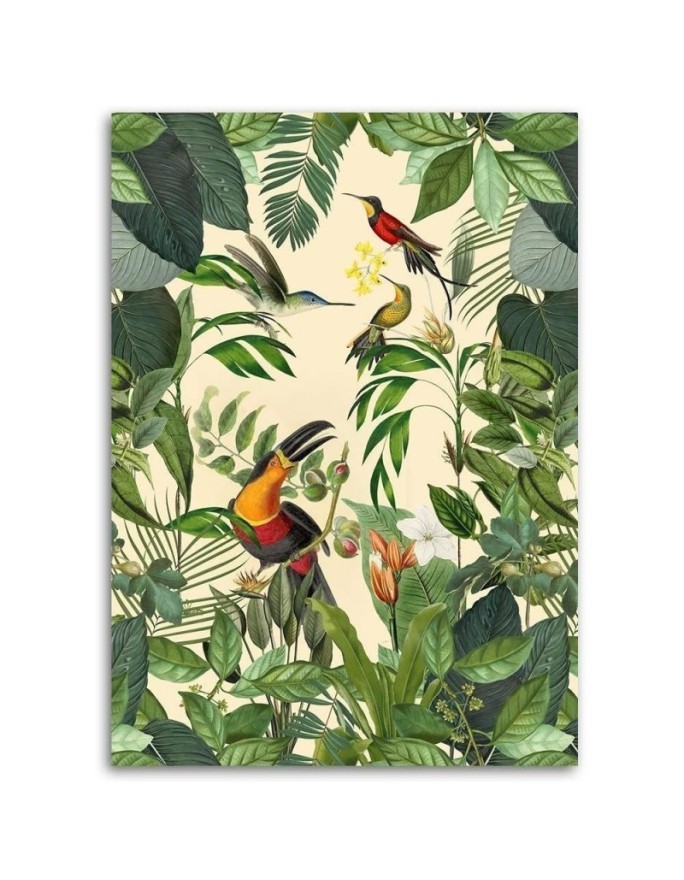 Canvas prints for modern living room - Tropical toucan Andrea Haase | FEEBY