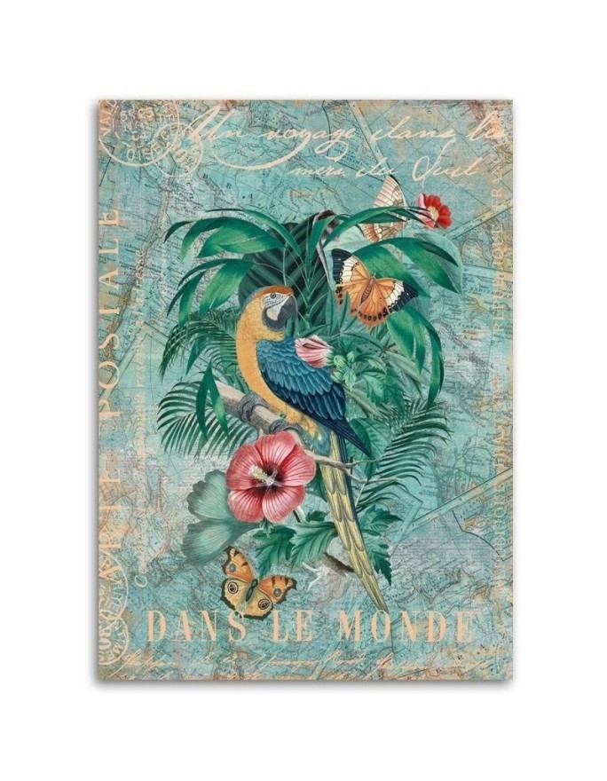 Print on Canvas painting - Parrot and butterflies travel postcard Andrea Haase | FEEBY