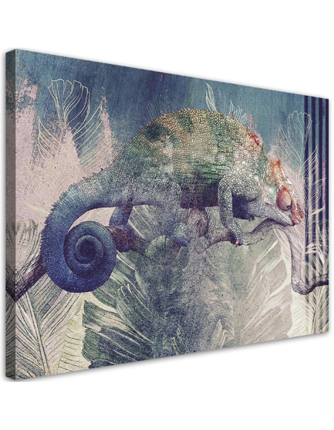 Canvas print Chameleon on a...