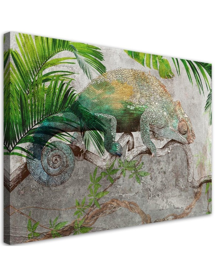 Canvas prints for modern living room - Chameleon on a branch jungle | FEEBY
