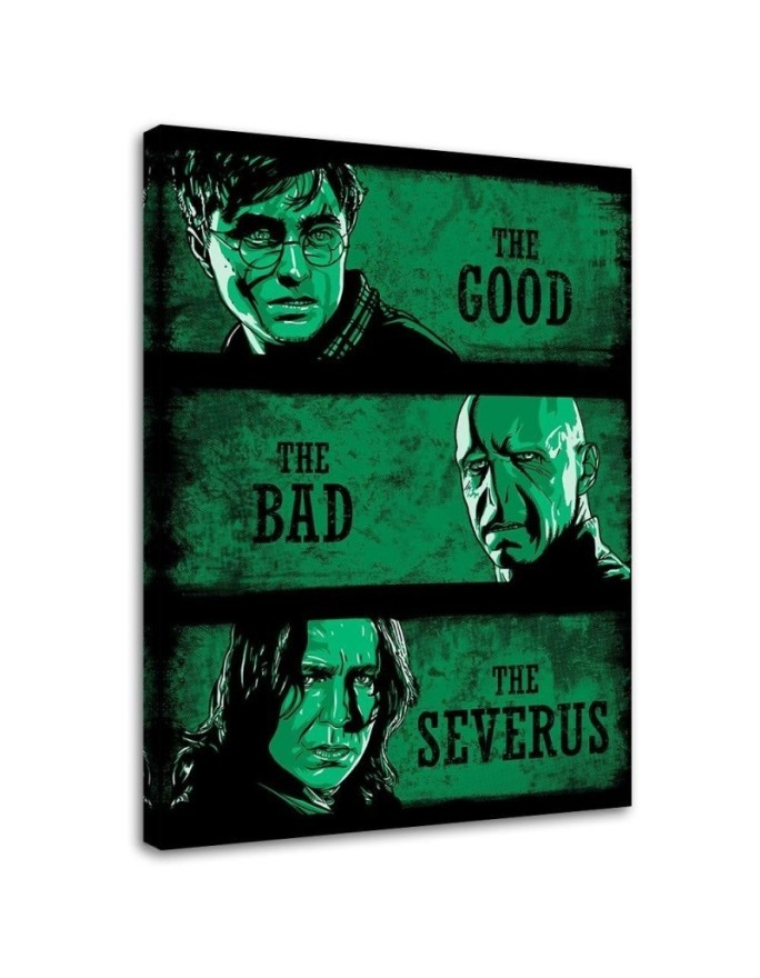 Canvas prints for teenager's room - Harry Potter collage DDJVigo | FEEBY