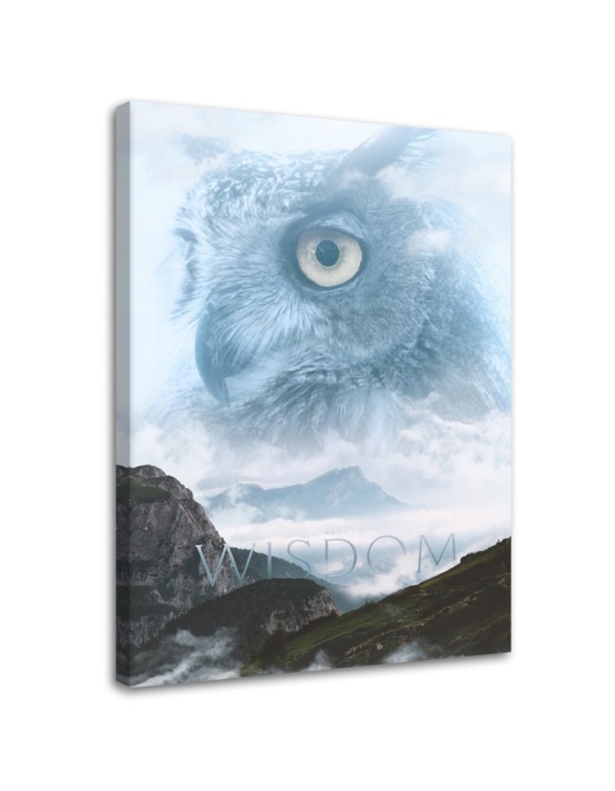 Wall Canvas painting - Bird in the sky reflection Barrett Biggers | FEEBY