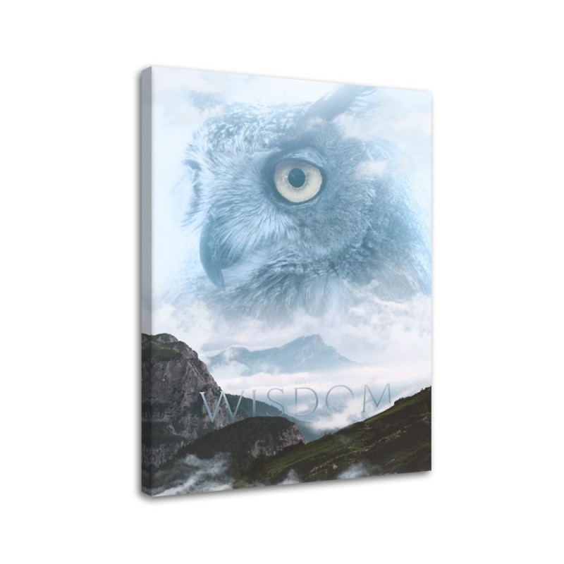 Wall Canvas painting - Bird in the sky reflection Barrett Biggers | FEEBY