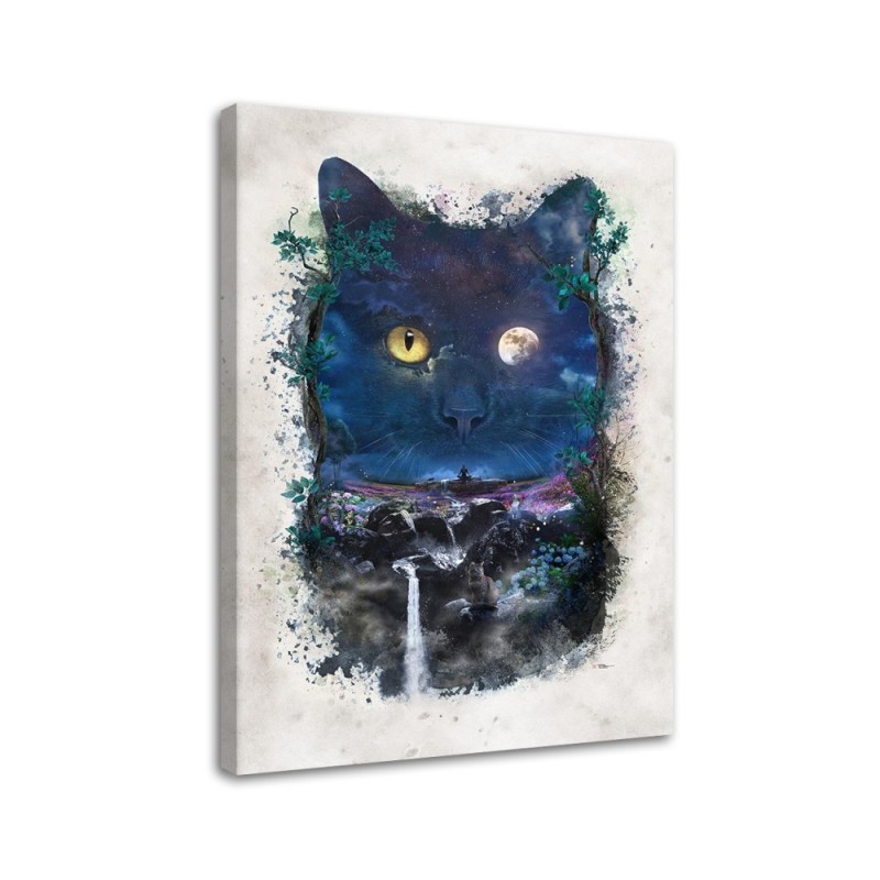 Pictures on Canvas living room - Black cat at night Barrett Biggers | FEEBY