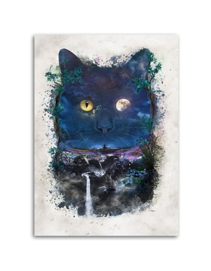Pictures on Canvas living room - Black cat at night Barrett Biggers | FEEBY