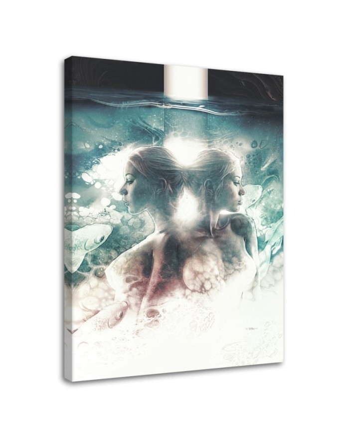Canvas print - Mirror Canvas prints of Barrett Biggers | FEEBY