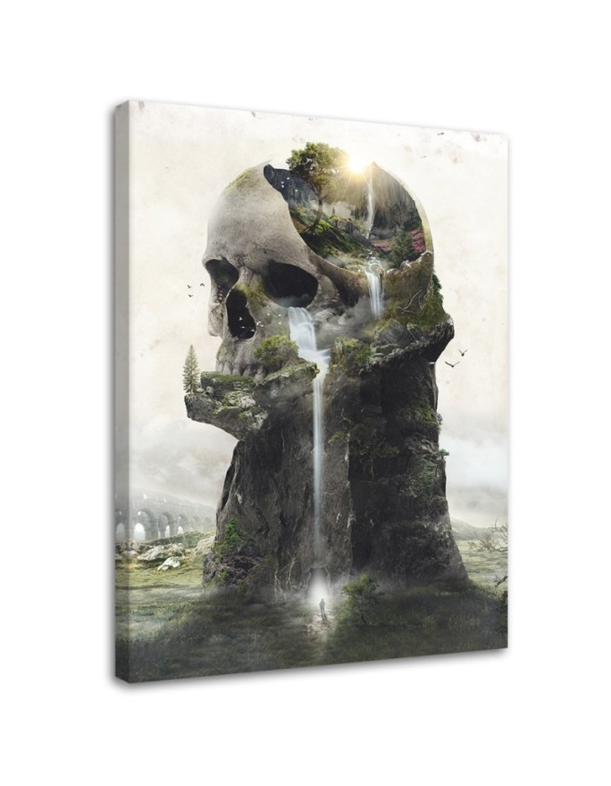 Wall Canvas painting - Skull waterfall Barrett Biggers | FEEBY