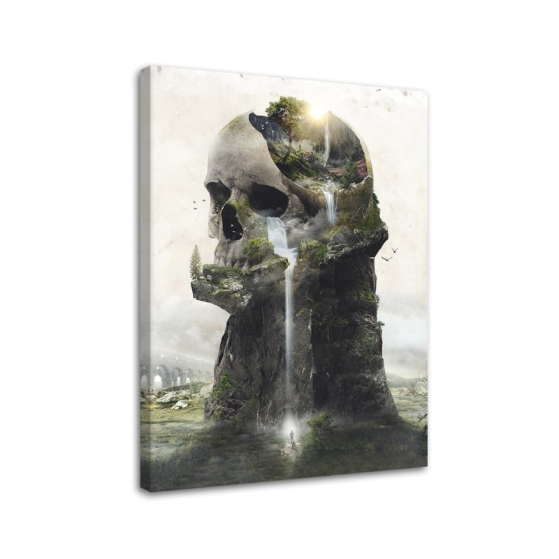 Wall Canvas painting - Skull waterfall Barrett Biggers | FEEBY