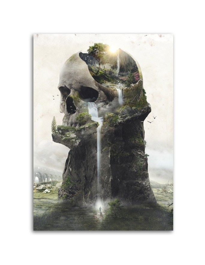Wall Canvas painting - Skull waterfall Barrett Biggers | FEEBY
