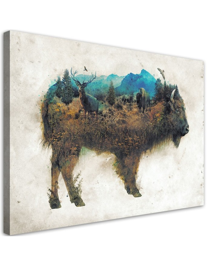 Canvas print The Bison and...