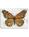 Wall art painting - Butterfly and magical wings Barrett Biggers | FEEBY