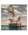 Canvas prints idea for living room - Butterflies Zehem Chong | FEEBY