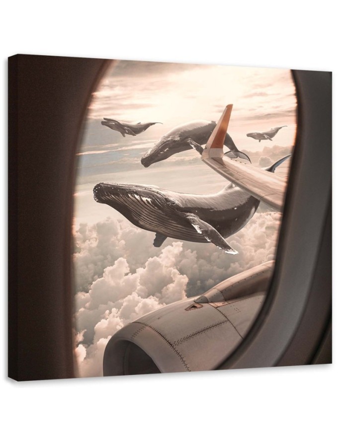 Unusual paintings for the living room - Whale view from a plane Zehem Chong | FEEBY