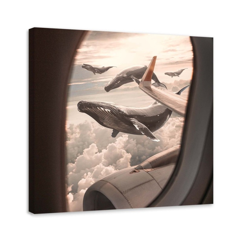 Unusual paintings for the living room - Whale view from a plane Zehem Chong | FEEBY